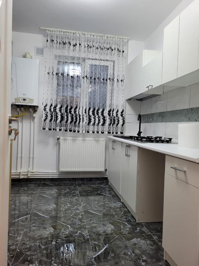 Apartament Regim Hotelier 2 雅西 外观 照片